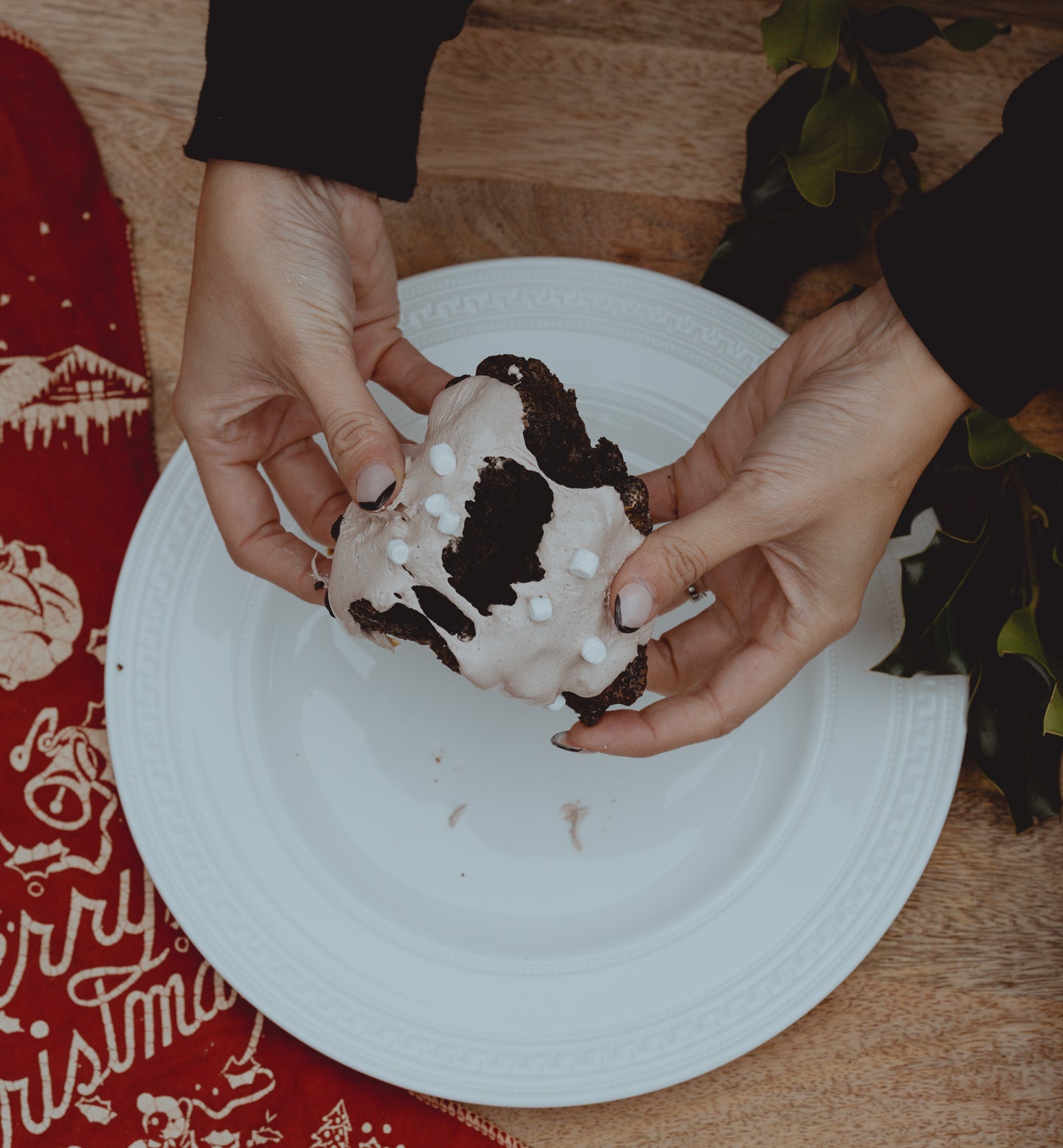 Hot Cocoa + Marshmallow